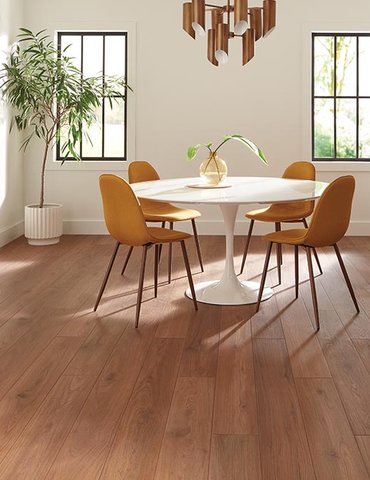 Dining Room Luxury Vinyl Plank LVP -  CarpetsPlus of Fairmont in Fairmont, MN